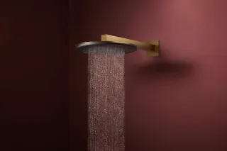 Верхний душ Hansgrohe Raindance Alive S 24540140 шлифованная бронза